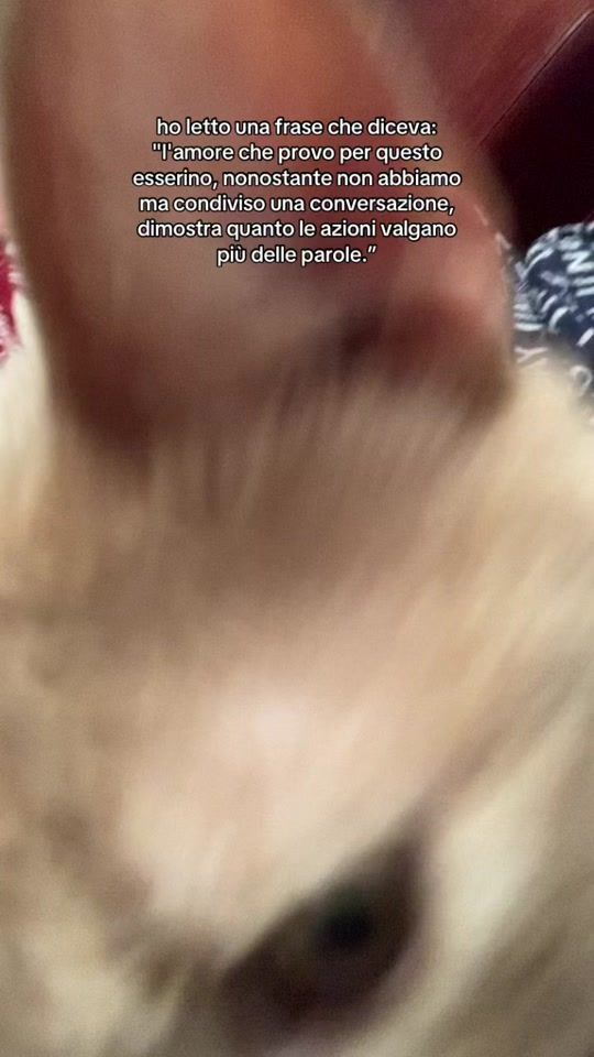 TikTok video thumbnail by giulia.bertino