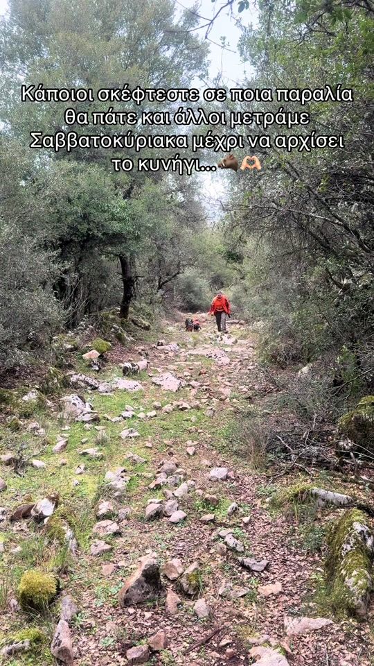 TikTok video thumbnail by greek.huntress