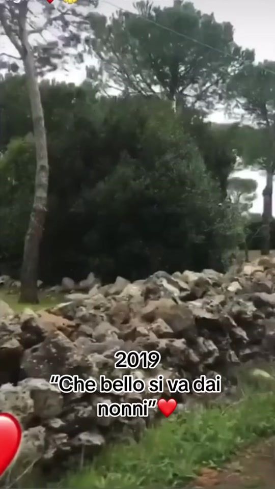 TikTok video thumbnail by manu_il_duecentosettista