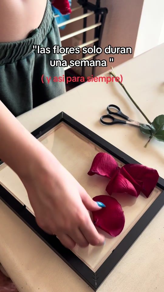 TikTok video thumbnail by sandraalopezz.__