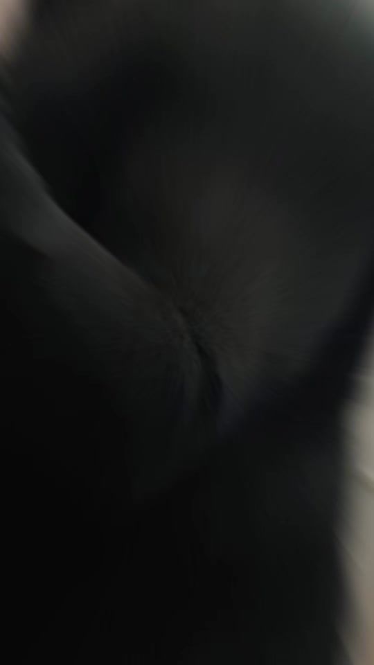 TikTok video thumbnail by robert56517