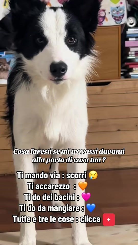 TikTok video thumbnail by lilly.chloe2023