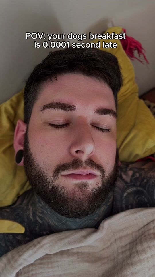 TikTok video thumbnail by kingchillithepug