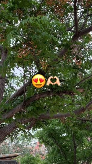 TikTok video thumbnail by mxh4____