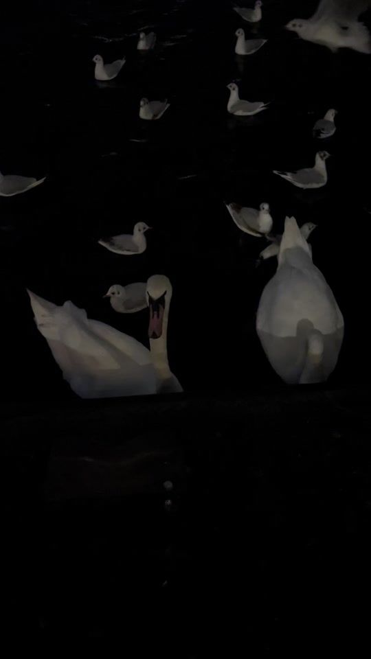 TikTok video thumbnail by saradelsu