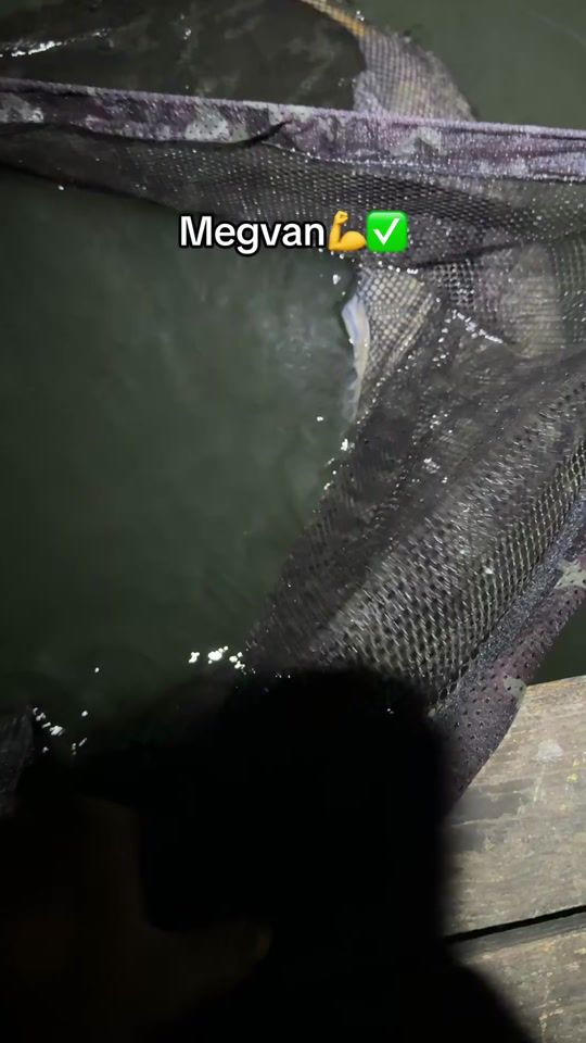 TikTok video thumbnail by robincarpfishing