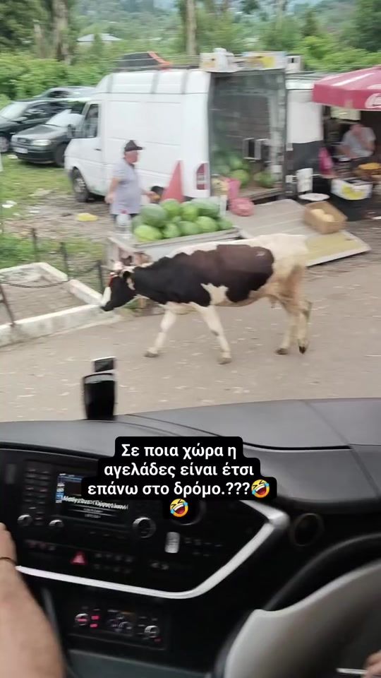TikTok video thumbnail by sofidi__sofidi