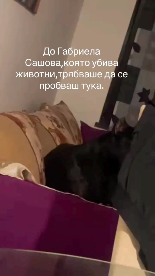 TikTok video thumbnail by nikola209st