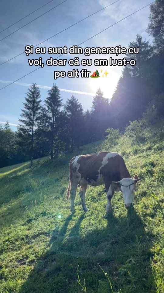 TikTok video thumbnail by roxana_c15
