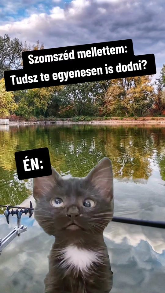 TikTok video thumbnail by feederbrothers