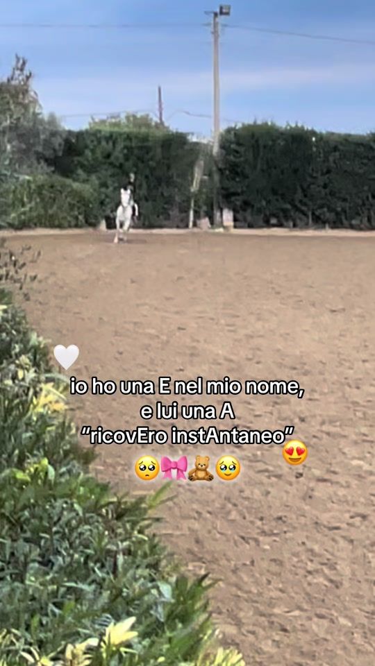 TikTok video thumbnail by emily._.385
