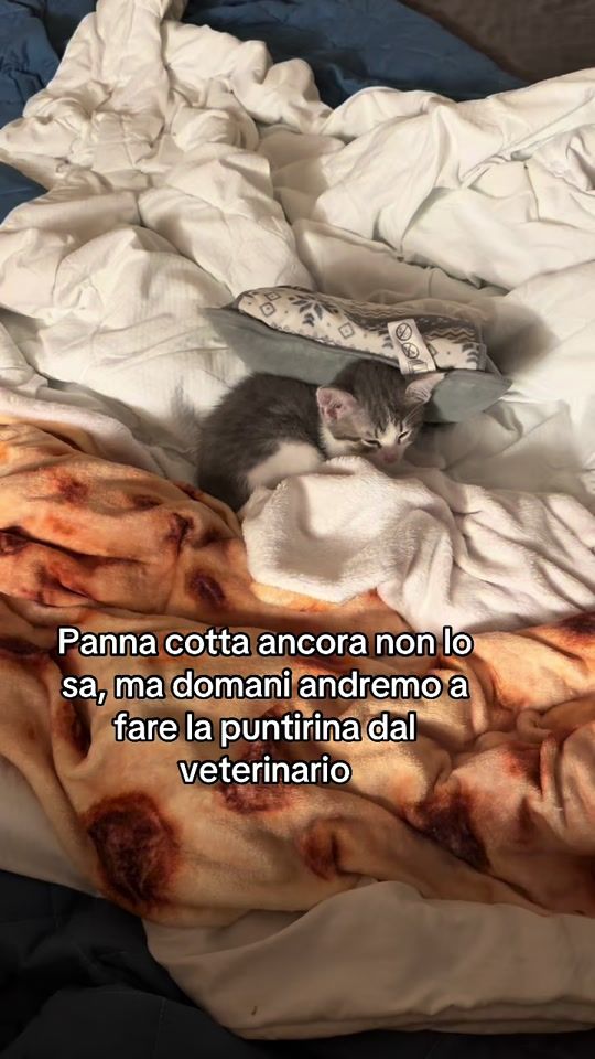 TikTok video thumbnail by raviolo13