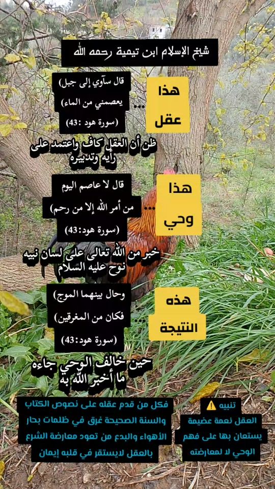 TikTok video thumbnail by chelli.bilal