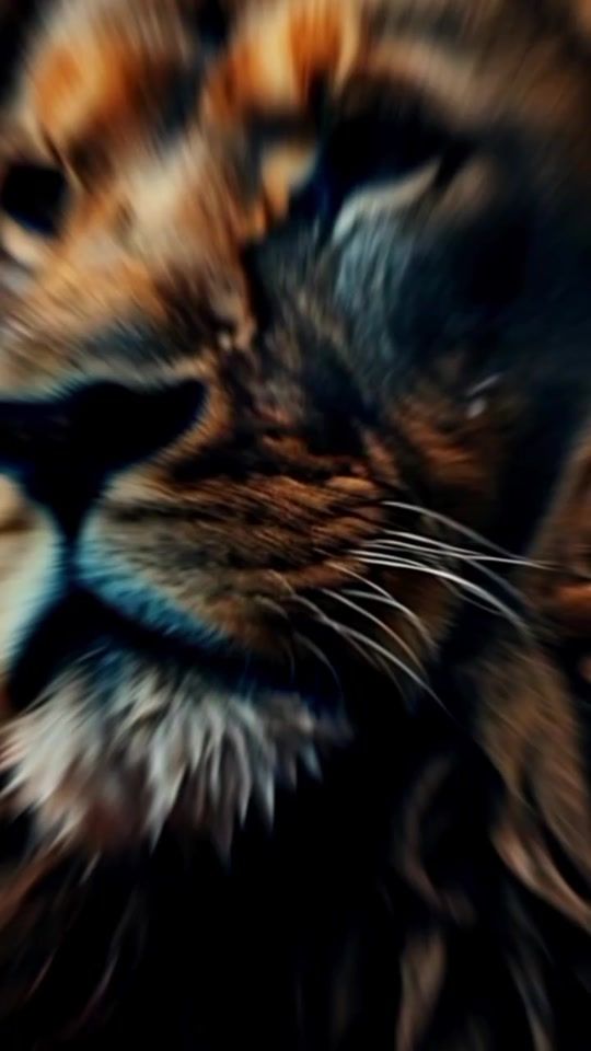 TikTok video thumbnail by 1_one.8