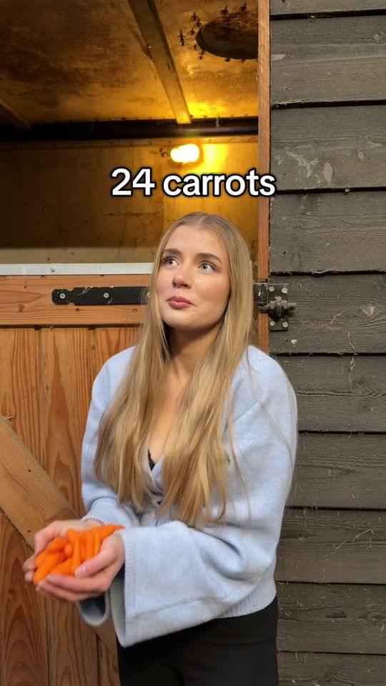 TikTok video thumbnail by claranorling