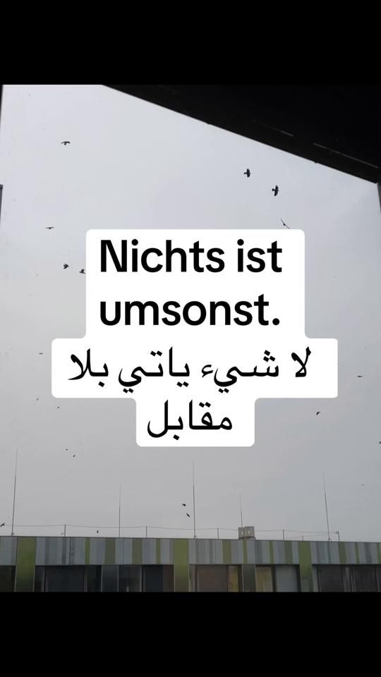 TikTok video thumbnail by user9381581775122