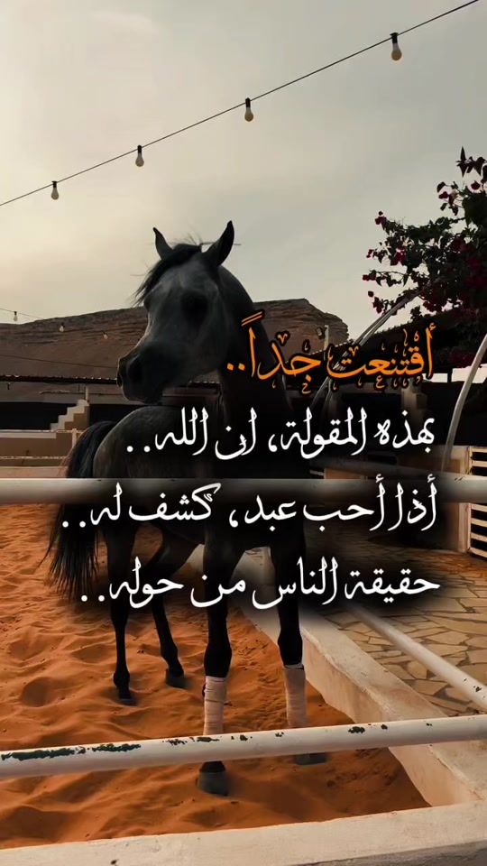 TikTok video thumbnail by o__alfaruq