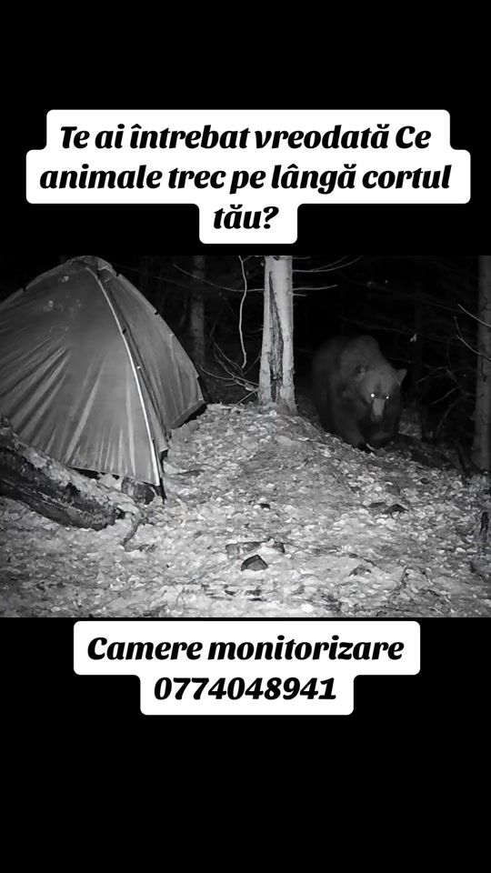 TikTok video thumbnail by camere.vanatoare