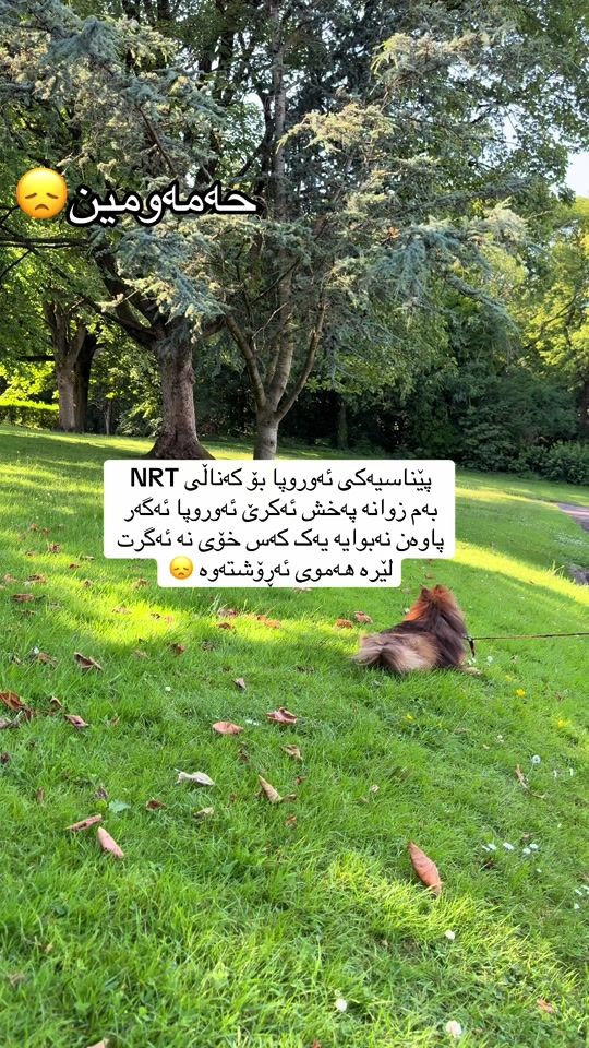 TikTok video thumbnail by hamawmen