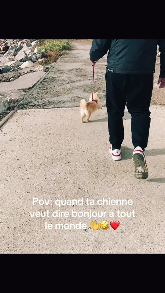 TikTok video thumbnail by vanillebrille31