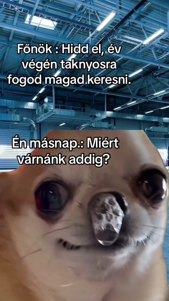 TikTok video thumbnail by silentfroggg