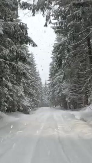 TikTok video thumbnail by maniu1508