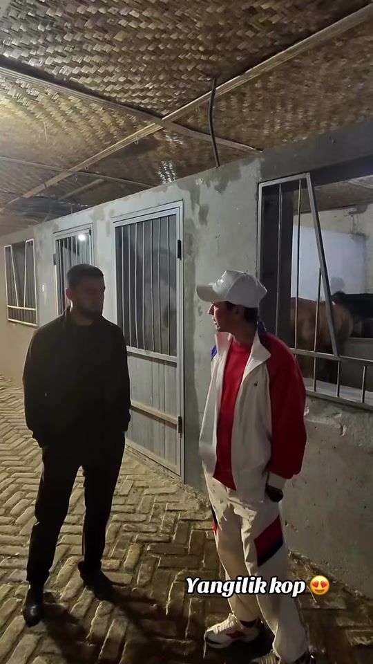 TikTok video thumbnail by mustafo_horses