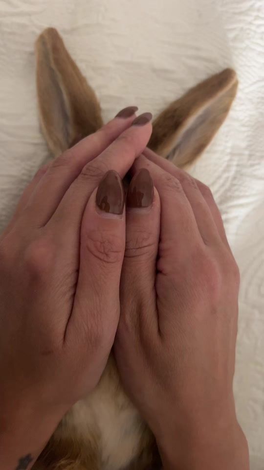 TikTok video thumbnail by robbyciga