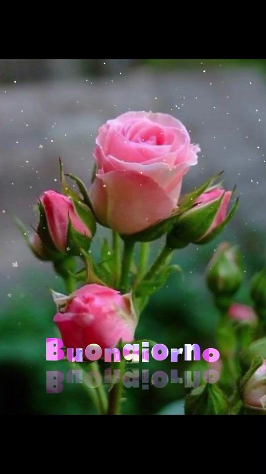 TikTok video thumbnail by filippo.della.mon