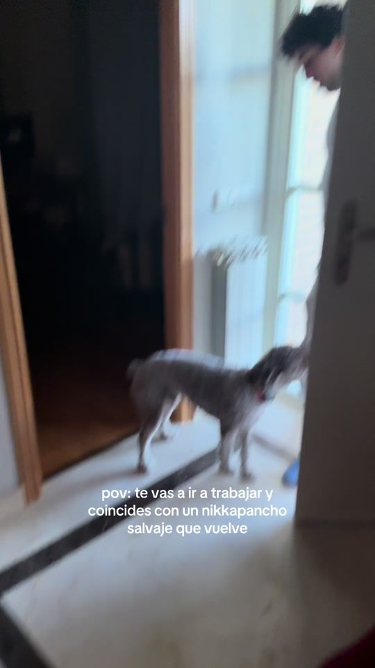 TikTok video thumbnail by nikkapanch