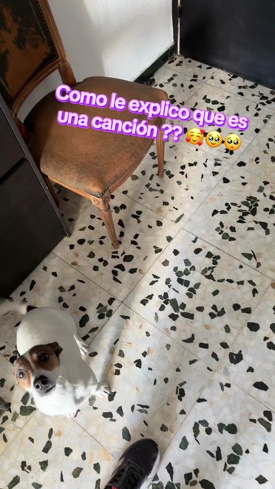 TikTok video thumbnail by anagracicello