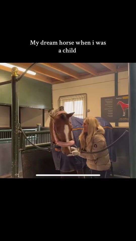 TikTok video thumbnail by equestrian_m.h