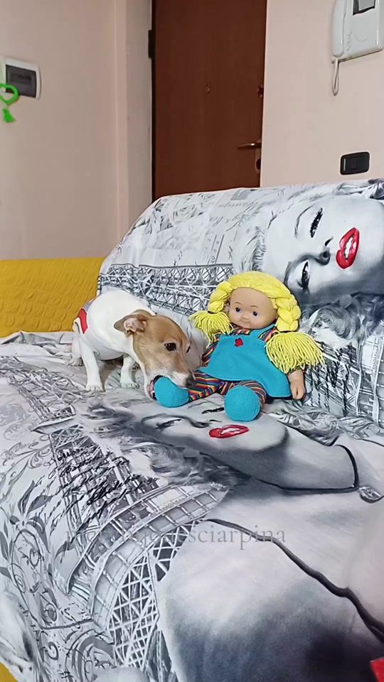 TikTok video thumbnail by merybijouesciarpina