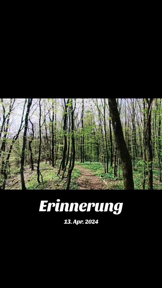 TikTok video thumbnail by wanderaugenblick