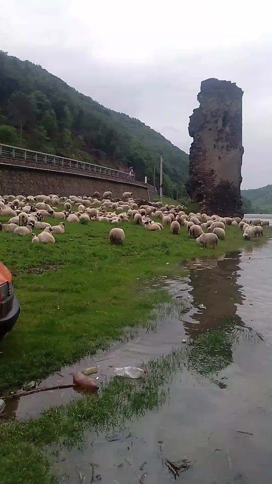 TikTok video thumbnail by leu.mihai1