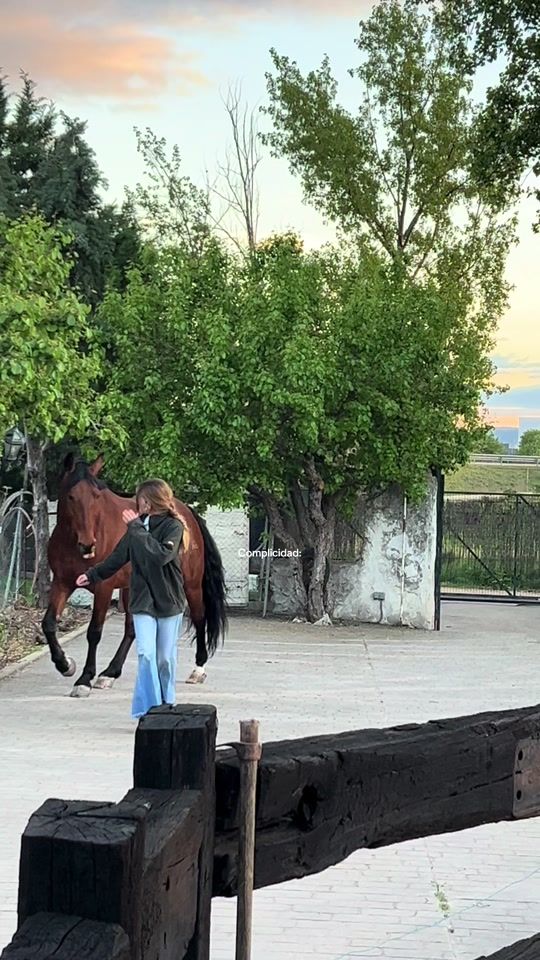 TikTok video thumbnail by eviprz24