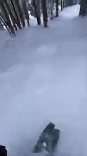 TikTok video thumbnail by fortius12_