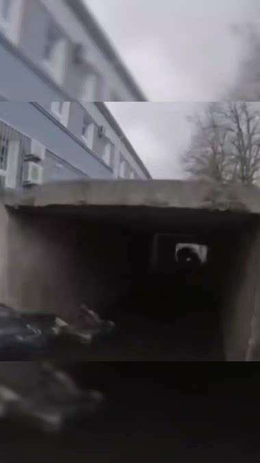 TikTok video thumbnail by armed_forces_sr