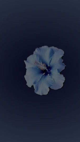 TikTok video thumbnail by lmts80