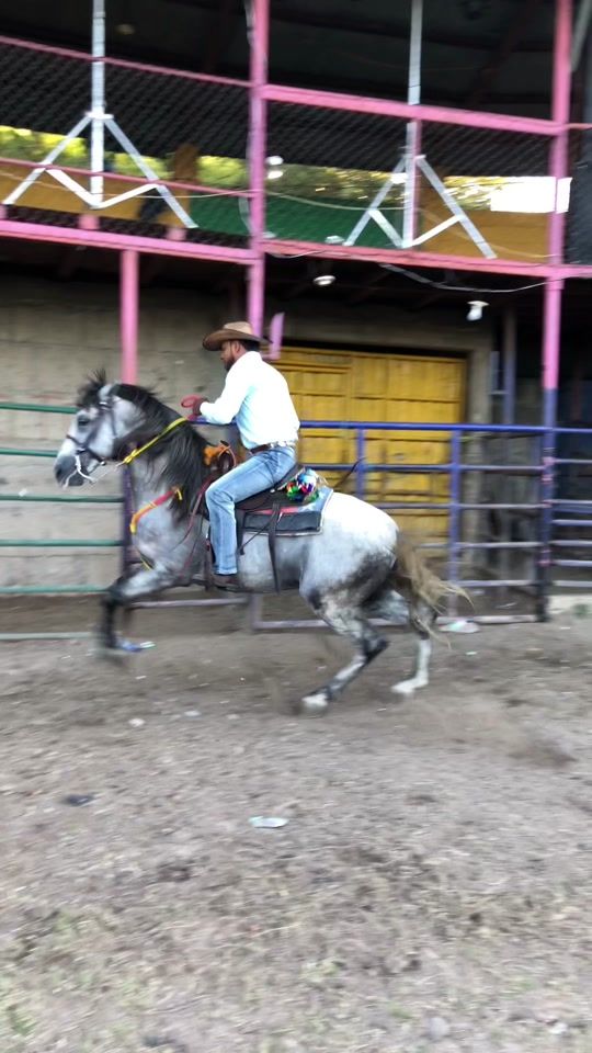 TikTok video thumbnail by baezranch