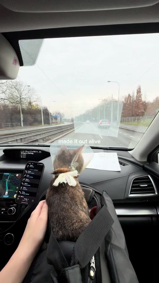 TikTok video thumbnail by djlilmayo