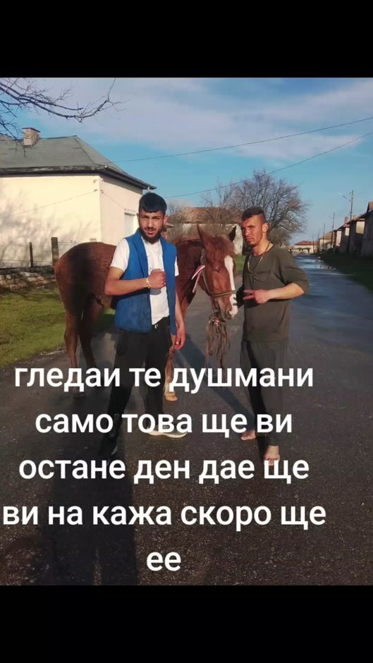 TikTok video thumbnail by user33748136687046