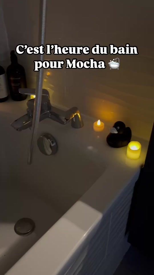 TikTok video thumbnail by mocha_the_cocker