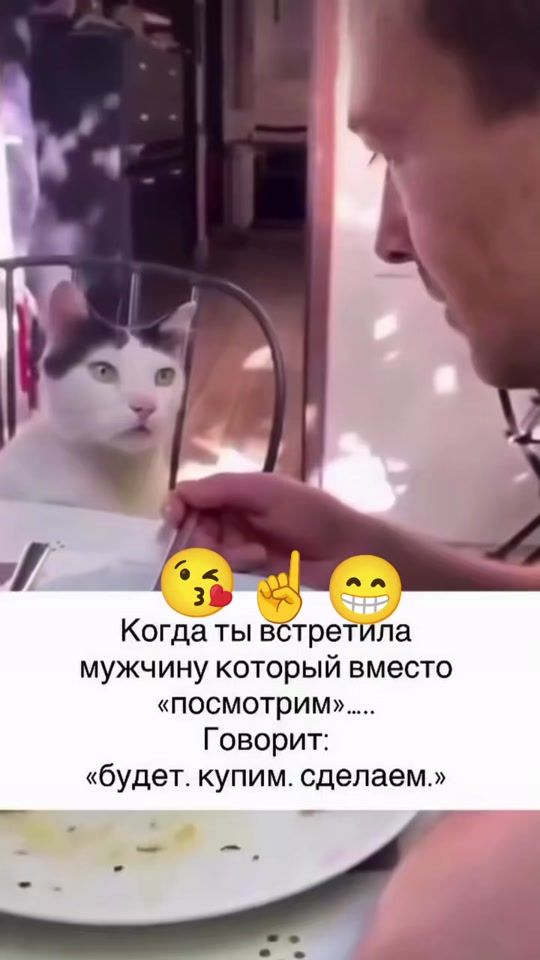 TikTok video thumbnail by vaidaskalinatikras