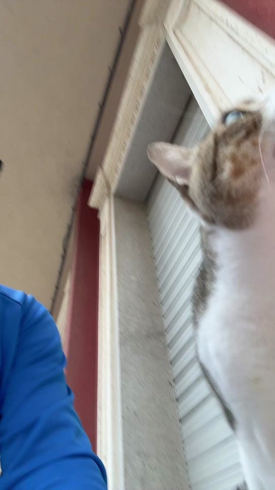 TikTok video thumbnail by orazio_fidone_barber