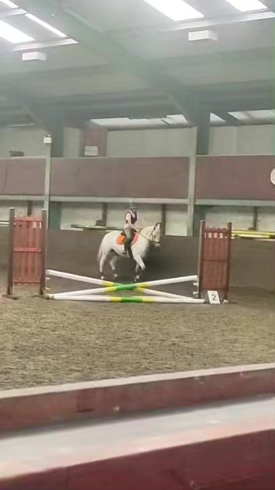 TikTok video thumbnail by sophie_croke