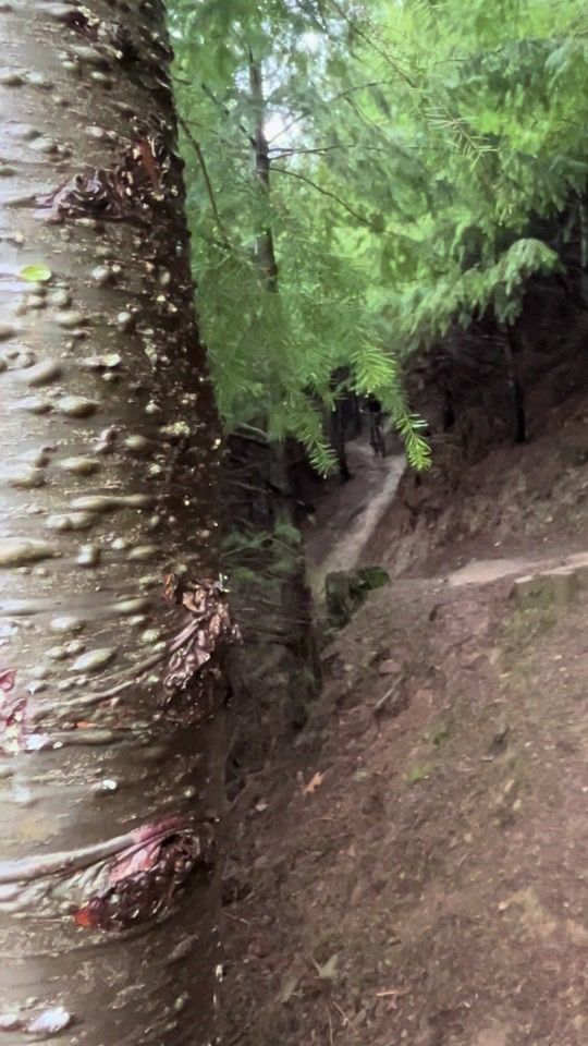 TikTok video thumbnail by mtb.rory1