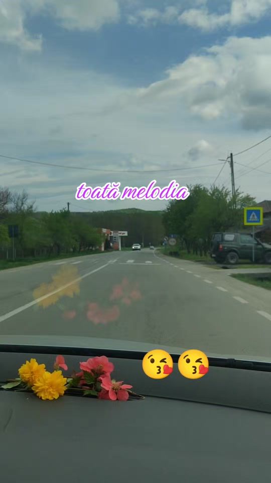 TikTok video thumbnail by ancaotiliaodagiu