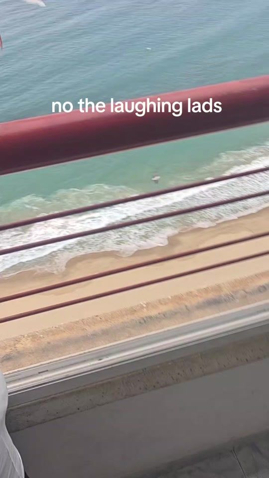 TikTok video thumbnail by christhequeen