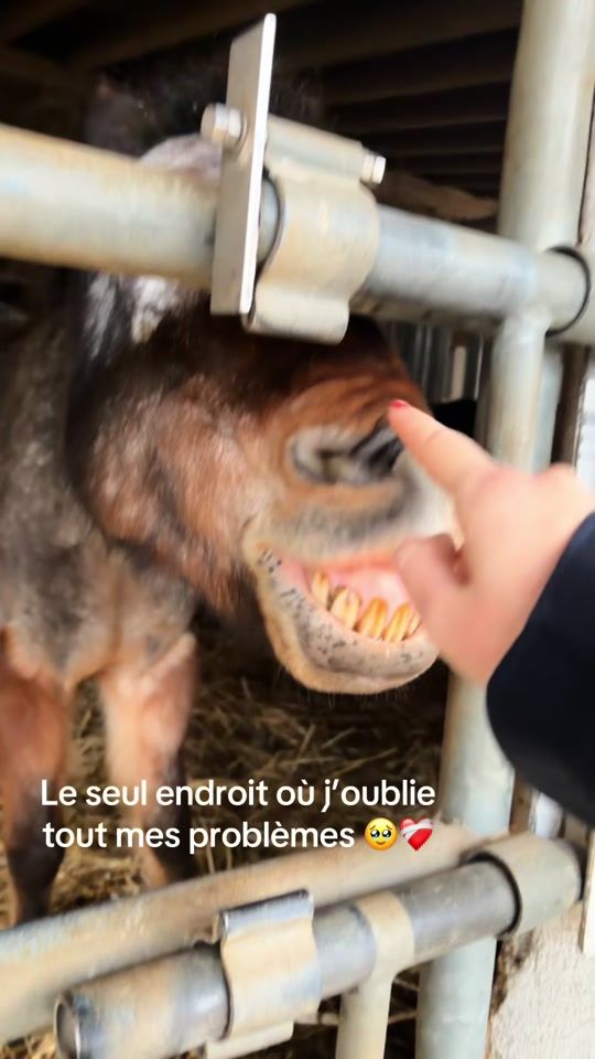 TikTok video thumbnail by lalau68